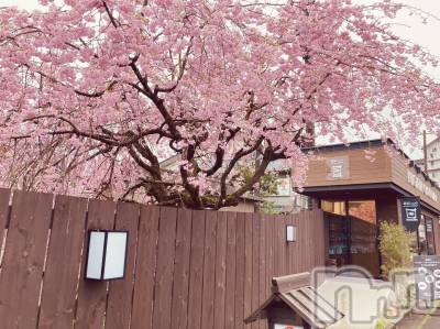 長岡デリヘル 長岡人妻市(ナガオカヒトヅマイチ) ゆうみ★キレイな奥様はお好き？(32)の4月18日写メブログ「間に合いました」