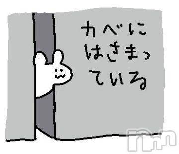 上越デリヘルHONEY(ハニー) なほみ(42)の6月28日写メブログ「家族が増えました♪」