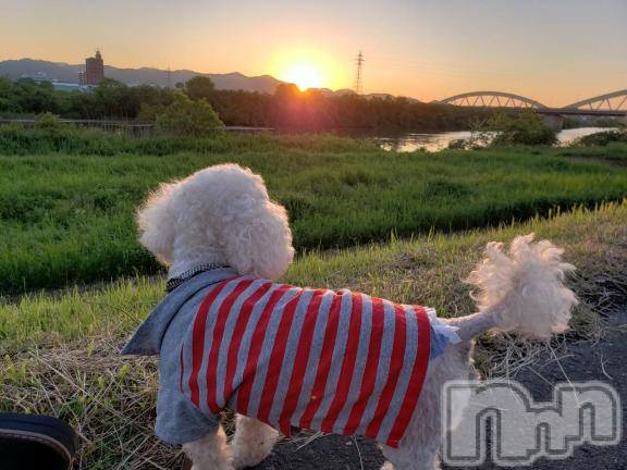 上越デリヘルHONEY(ハニー) なほみ(42)の12月8日写メブログ「大好評で昨日気絶0(:3 _ )～」