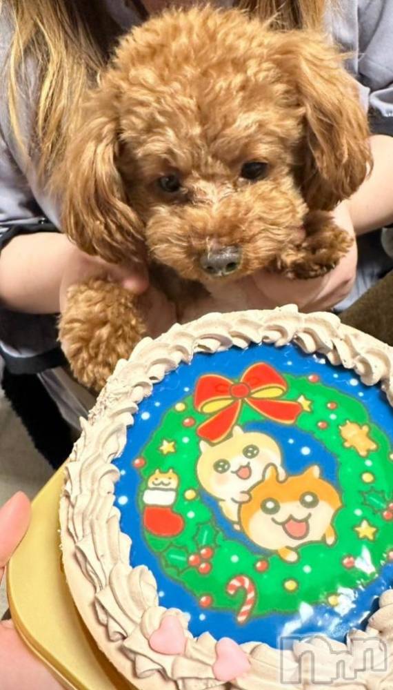 上越デリヘルHONEY(ハニー) なほみ(42)の12月24日写メブログ「サンタさんがいっぱい🎅💕🎅🎅🎅🎅🎅🎅」