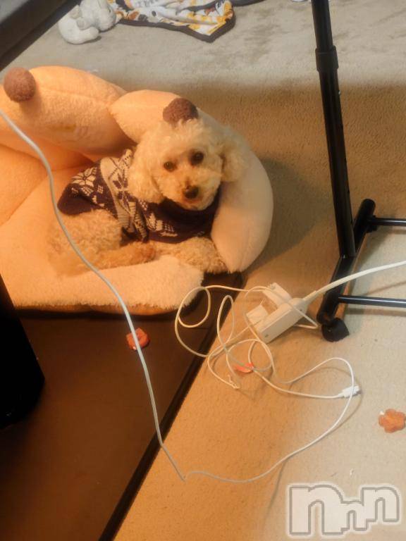 上越デリヘルHONEY(ハニー) なほみ(42)の3月8日写メブログ「先程の日記の23:00告知の訂正」