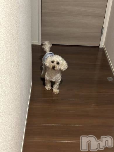なほみ(♪)