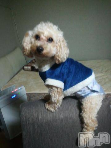 上越デリヘルHONEY(ハニー)なほみ(42)の2021年1月11日写メブログ「本日営業再開します(^-^)」