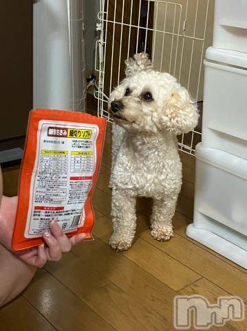 上越デリヘルHONEY(ハニー)なほみ(42)の2023年10月9日写メブログ「お得なイベント🎪✨」