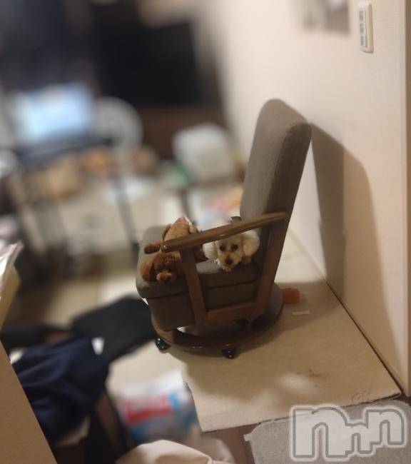 上越デリヘルHONEY(ハニー)なほみ(42)の2025年6月28日写メブログ「今日も今日とて」