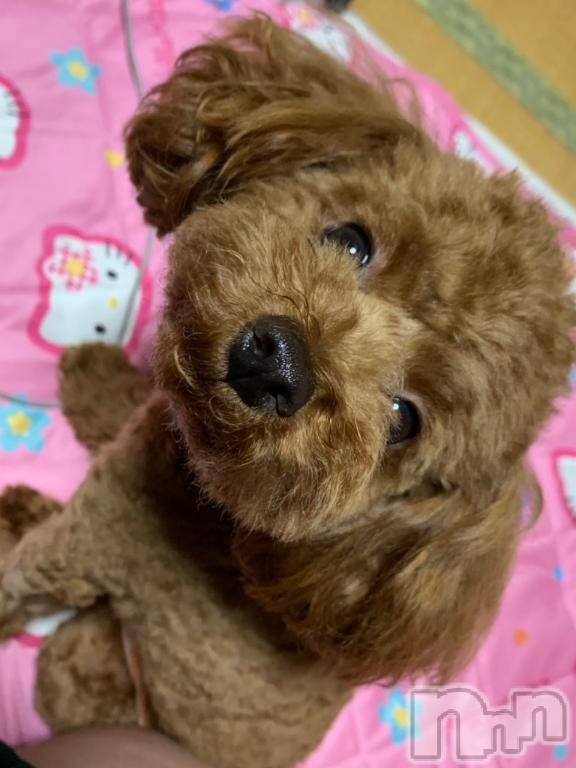上越デリヘルHONEY(ハニー)なほみ(42)の2025年7月19日写メブログ「連日完売のかぐらさん来てます✨」