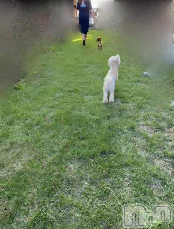 上越デリヘルHONEY(ハニー)なほみ(42)の2025年10月21日写メブログ「ドックランにて なほみと犬」