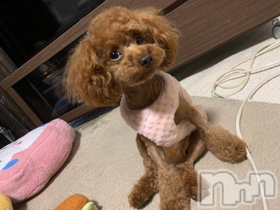 上越デリヘルHONEY(ハニー)なほみ(42)の2025年11月2日写メブログ「長野店の日記があがってしまう🤣」