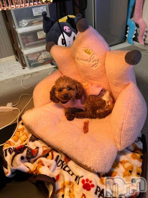 上越デリヘルHONEY(ハニー)なほみ(42)の2026年3月6日写メブログ「しまい忘れ」