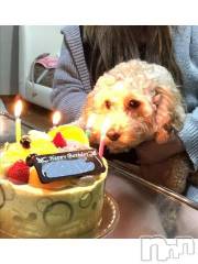 上越デリヘルHONEY(ハニー) なほみ(42)の4月18日写メブログ「あんなちゃん到着したよ！」