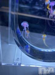 上越デリヘルHONEY(ハニー) なほみ(42)の12月17日写メブログ「あんなちゃんのあんよが(´；ω；｀)」