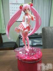 上越デリヘルHONEY(ハニー) なほみ(42)の3月19日写メブログ「桜ミクGET！」