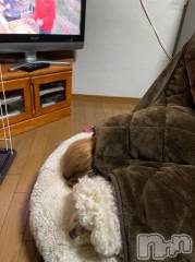 上越デリヘルHONEY(ハニー) なほみ(42)の2月16日写メブログ「りのんちゃん面接終了(?∀?)」