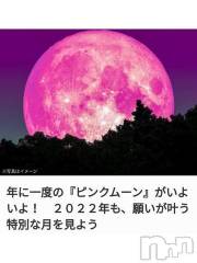 上越デリヘルHONEY(ハニー) なほみ(42)の4月16日写メブログ「あしたは一年に一度の」