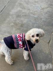 上越デリヘルHONEY(ハニー) なほみ(42)の5月14日写メブログ「おはよー(*^ω^)ノ」