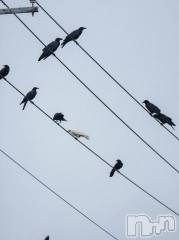 上越デリヘルHONEY(ハニー) なほみ(42)の8月20日写メブログ「ご予約ありがとうございます♪」