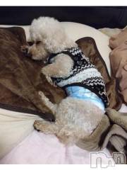 上越デリヘルHONEY(ハニー) なほみ(42)の1月21日写メブログ「本日の割引はなんと！」