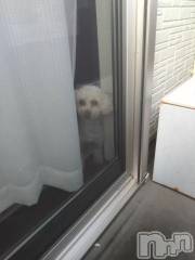 上越デリヘルHONEY(ハニー) なほみ(42)の8月2日写メブログ「出れるの明日からだぁぁ」