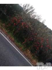 上越デリヘルHONEY(ハニー) なほみ(42)の10月18日写メブログ「わーい🙌お礼と予定と面接も」