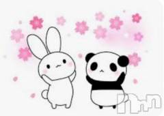 上越デリヘルHONEY(ハニー) なほみ(42)の11月14日写メブログ「今日でみらいちゃん卒業✨と超得イベント」