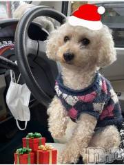 上越デリヘルHONEY(ハニー) なほみ(42)の12月17日写メブログ「お礼💌と飯テロ」