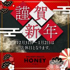 上越デリヘルHONEY(ハニー) なほみ(42)の12月28日写メブログ「残すところあと少し🐤」