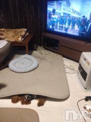 上越デリヘルHONEY(ハニー) なほみ(42)の2月5日写メブログ「HONEYファミリー🍯」