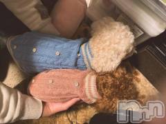 上越デリヘルHONEY(ハニー) なほみ(42)の3月26日写メブログ「ワケあって、、」