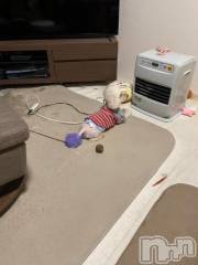 上越デリヘルHONEY(ハニー) なほみ(42)の3月26日写メブログ「今日からもえさん♪」