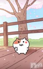 上越デリヘルHONEY(ハニー) なほみ(42)の4月3日写メブログ「桜咲いた？？🌸」