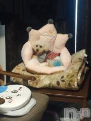 上越デリヘルHONEY(ハニー) なほみ(42)の4月10日写メブログ「悲しい思いは✿.*・」