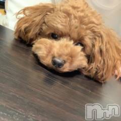 上越デリヘルHONEY(ハニー) なほみ(42)の7月28日写メブログ「不思議な人の流れ🥕」