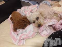 上越デリヘルHONEY(ハニー) なほみ(42)の8月1日写メブログ「みんなの夏休み″𓆦″🍉🎮⚾⚽🏀」