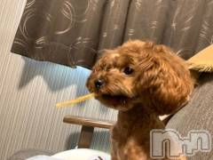 上越デリヘルHONEY(ハニー) なほみ(42)の10月30日写メブログ「みずほ♪♪さん音符1イベントやってます🫶」