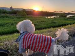 上越デリヘルHONEY(ハニー) なほみ(42)の12月8日写メブログ「大好評で昨日気絶0(:3 _ )～」