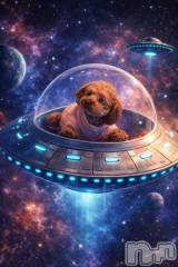 上越デリヘルHONEY(ハニー) なほみ(42)の2月6日写メブログ「今日やっちゃうよ～」