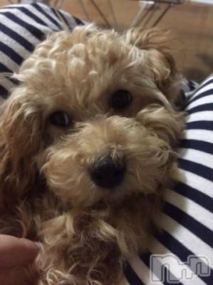 上越デリヘル HONEY(ハニー) なほみ(42)の7月4日写メブログ「これからのお時間♪」