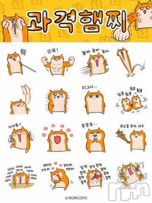 上越デリヘル HONEY(ハニー) なほみ(42)の11月11日写メブログ「18歳新人さん入店！」