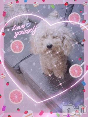 上越デリヘル HONEY(ハニー) なほみ(42)の12月4日写メブログ「明日の事前予約」