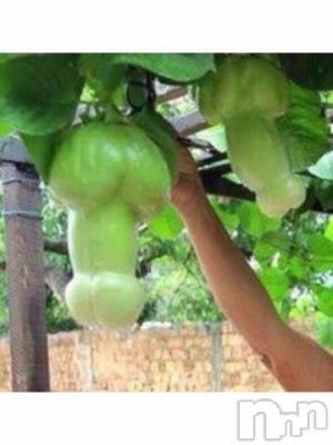 上越デリヘル HONEY(ハニー) なほみ(42)の2月29日写メブログ「さて続くかどうか」