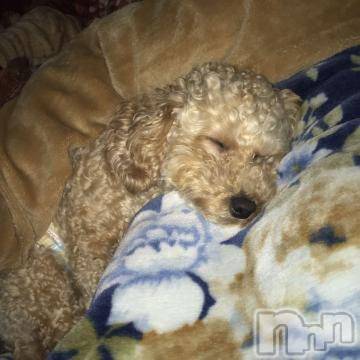 上越デリヘル HONEY(ハニー) なほみ(42)の4月18日写メブログ「停滞期」