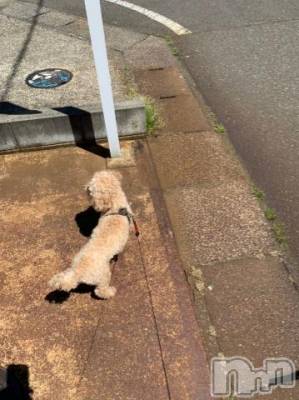 上越デリヘル HONEY(ハニー) なほみ(42)の5月8日写メブログ「かずはさんイベント！(^^)」