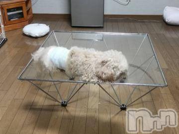 上越デリヘル HONEY(ハニー) なほみ(42)の7月14日写メブログ「あしたから」