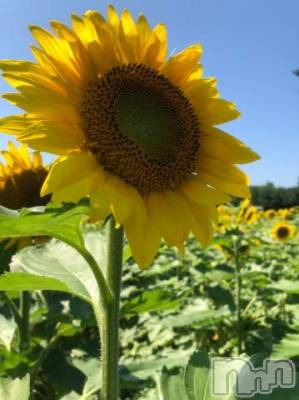 上越デリヘル HONEY(ハニー) なほみ(42)の8月2日写メブログ「夏だね(・x・)」