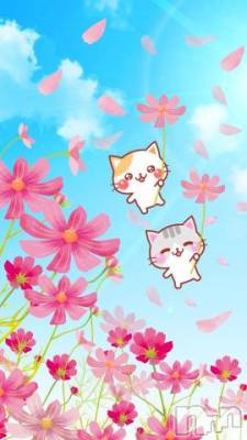 上越デリヘル HONEY(ハニー) なほみ(42)の9月19日写メブログ「19日のお得情報」