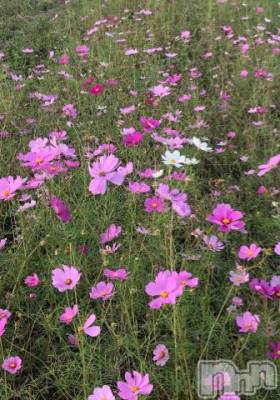 上越デリヘル HONEY(ハニー) なほみ(42)の10月30日写メブログ「今なら！」