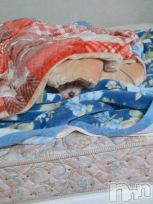 上越デリヘル HONEY(ハニー) なほみ(42)の1月6日写メブログ「料金税込にします！！みんな助けてね！笑」