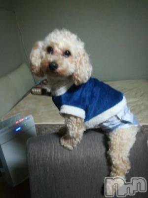 上越デリヘル HONEY(ハニー) なほみ(42)の1月11日写メブログ「本日営業再開します(^-^)」