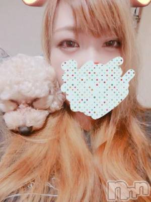 上越デリヘル HONEY(ハニー) なほみ(42)の1月12日写メブログ「雪のピークは去った、、、」