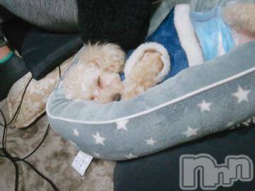 上越デリヘル HONEY(ハニー) なほみ(42)の1月13日写メブログ「パール再開！！」